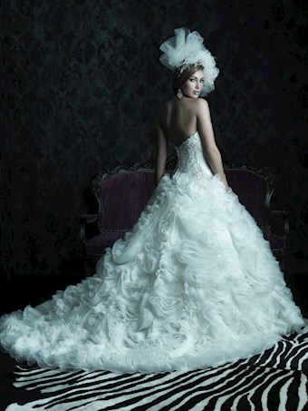 Allure C229