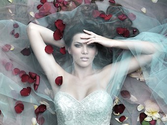 Allure C288