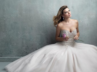 Allure C323