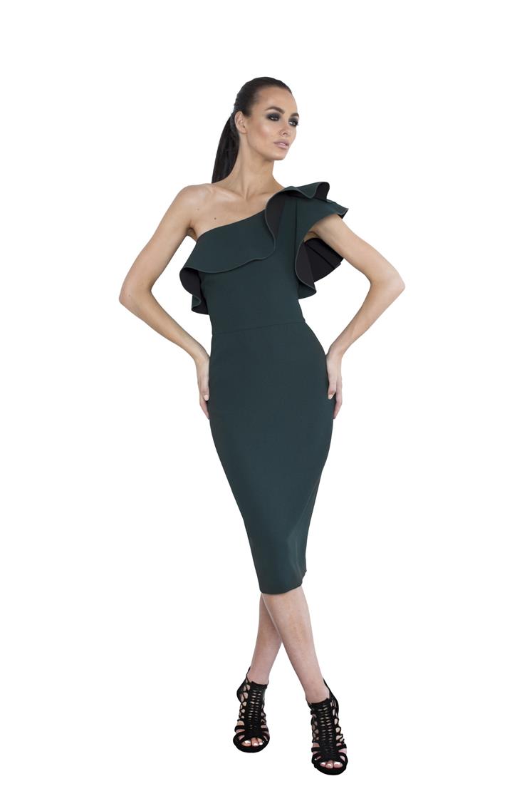 Special Occasion Dresses | Nicole Bakti