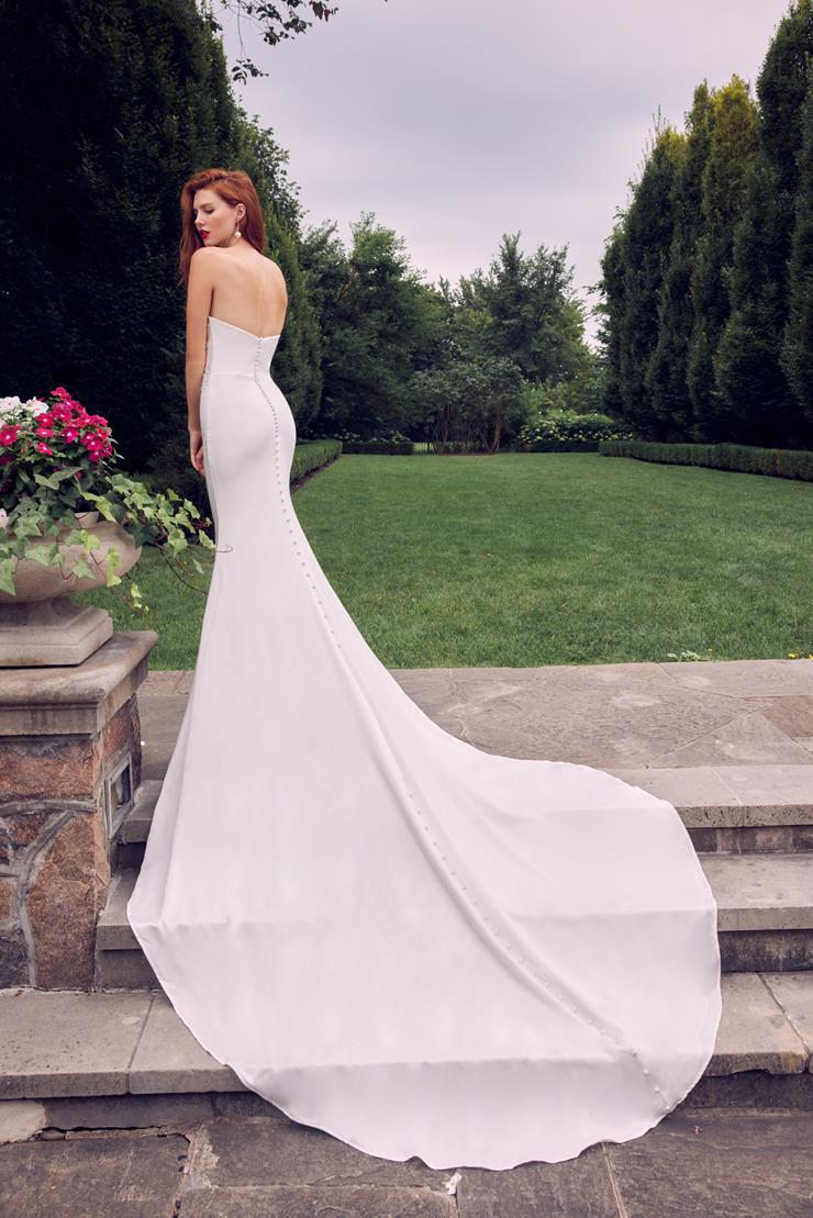 Calla Blanche LA22105