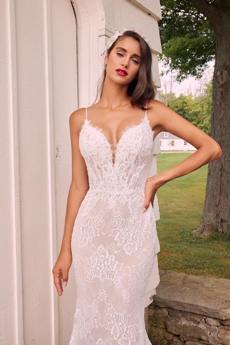 Calla Blanche LA22111
