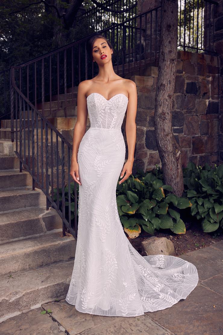 Calla Blanche LA22119