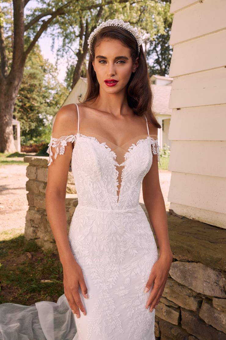 Calla Blanche LA22126