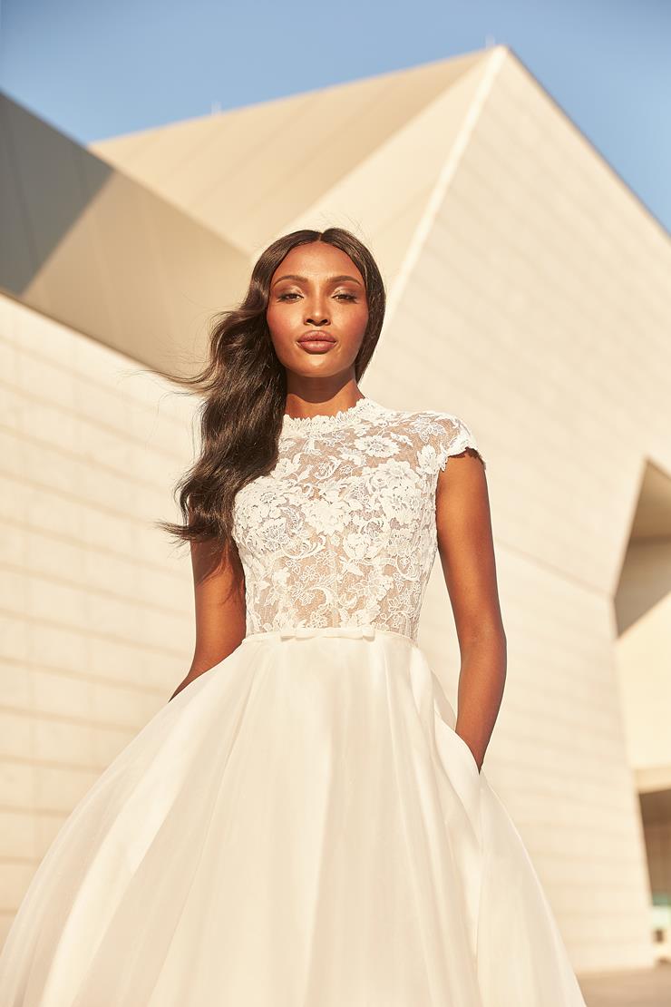 Paloma Blanca 4978