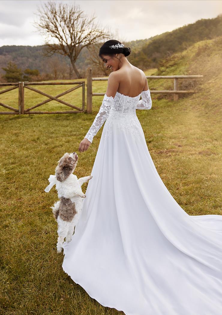 Pronovias Bhalabasa