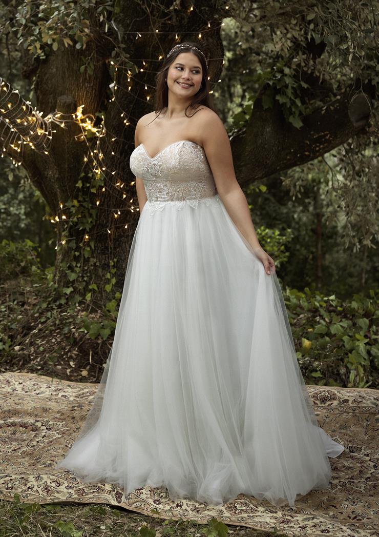 Pronovias Cinta