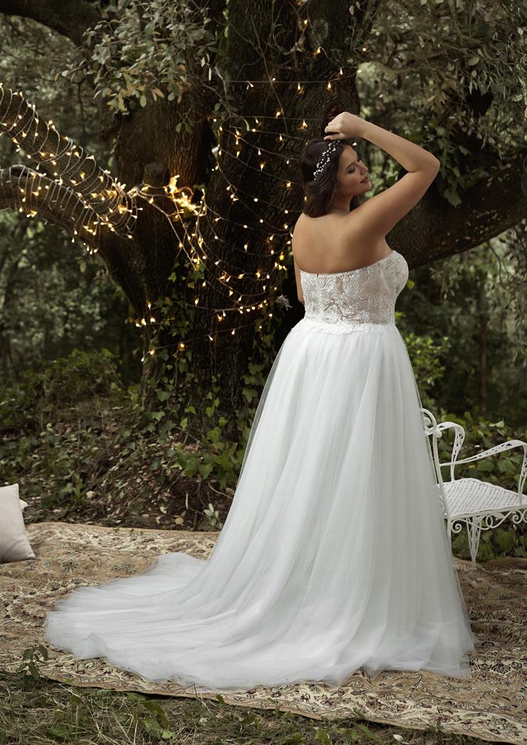 Pronovias Cinta