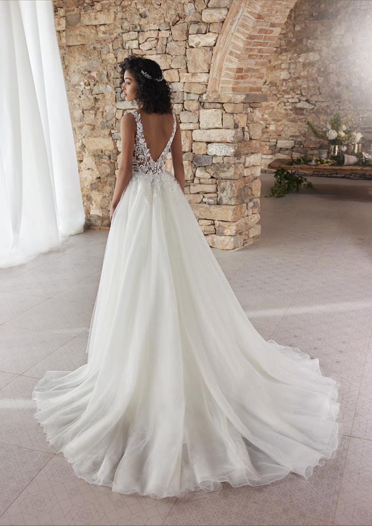 Pronovias Hak