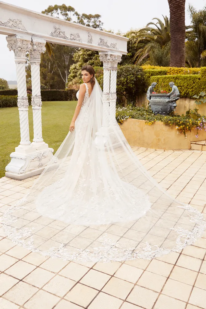 y12232veil_ivory_b_d.670.webp
