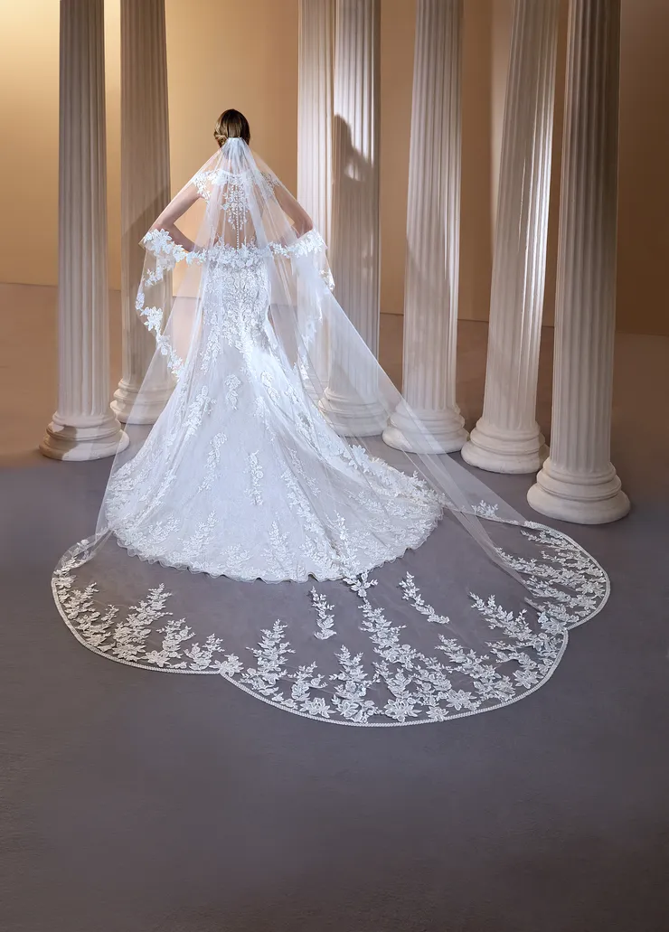 Demetrios 1143