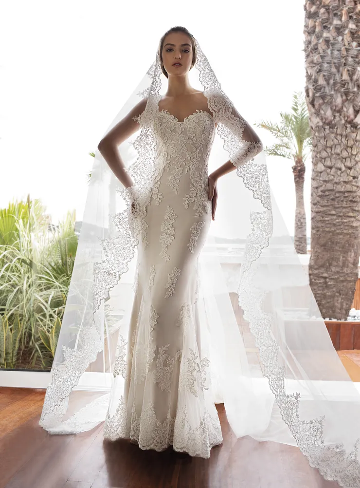 Demetrios COV105 Default Thumbnail Image