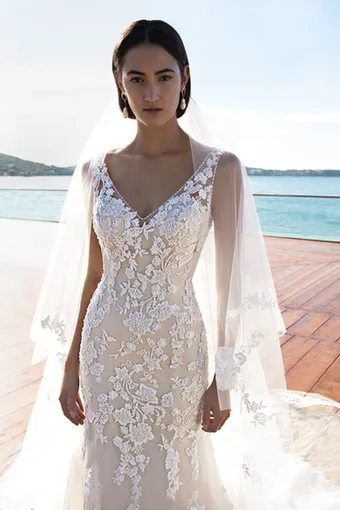 Demetrios COV107 #1 vertical thumbnail