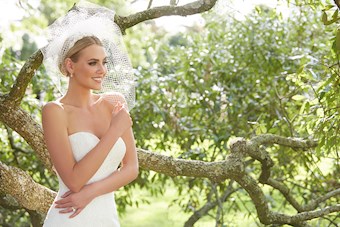 Allure Romance 2856