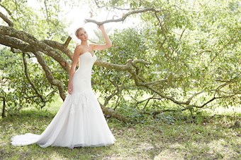 Allure Romance 2856