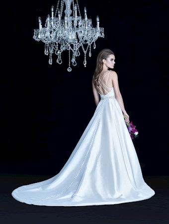 Paloma Blanca 4764
