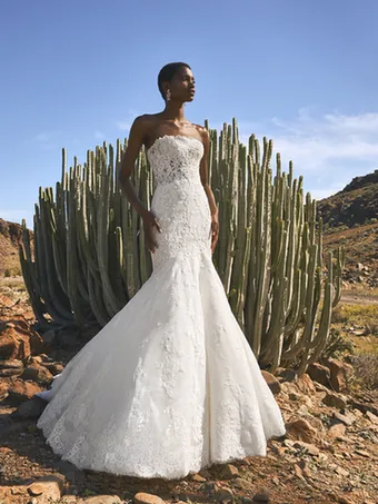 Pronovias Fingal #4 vertical thumbnail