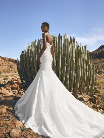 Pronovias Fingal #5 vertical thumbnail