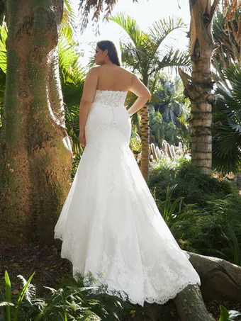 Pronovias Fingal #3 vertical thumbnail