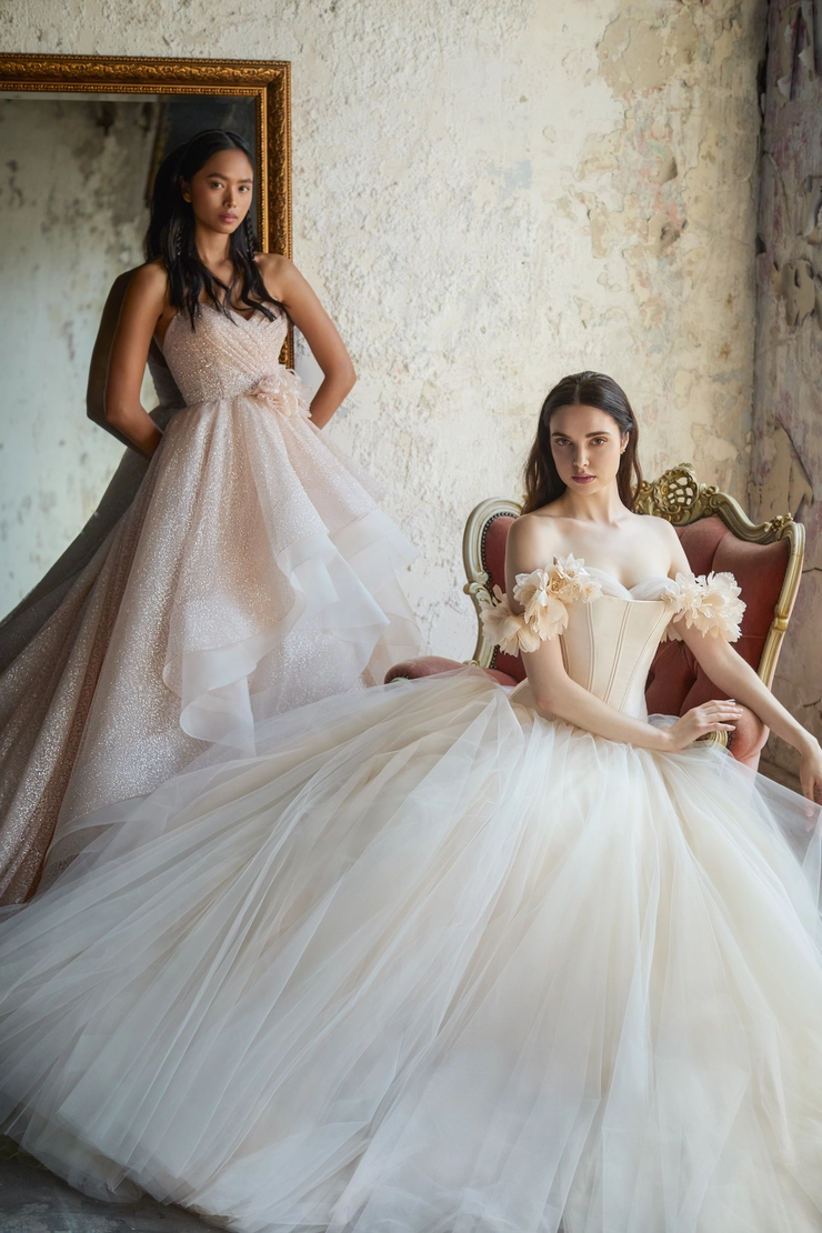 Lazaro 32200
