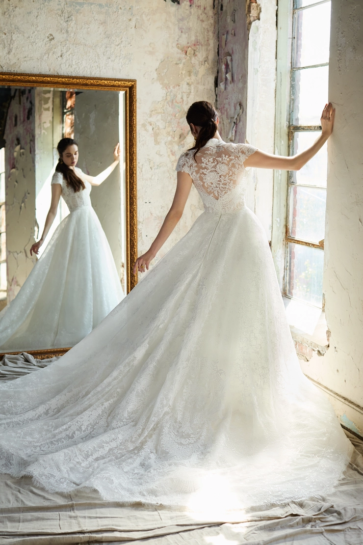 Lazaro 32203