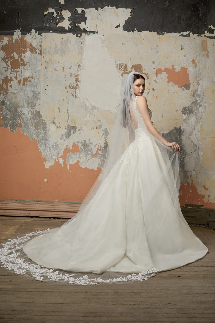 Lazaro 32204