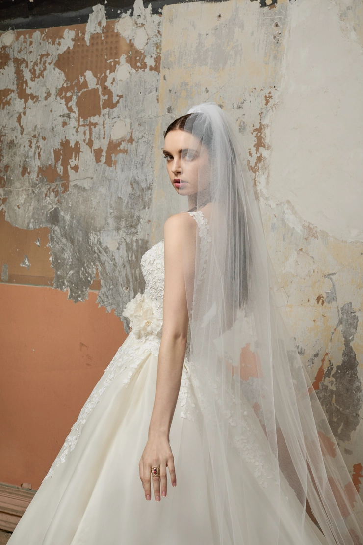 Lazaro 32204