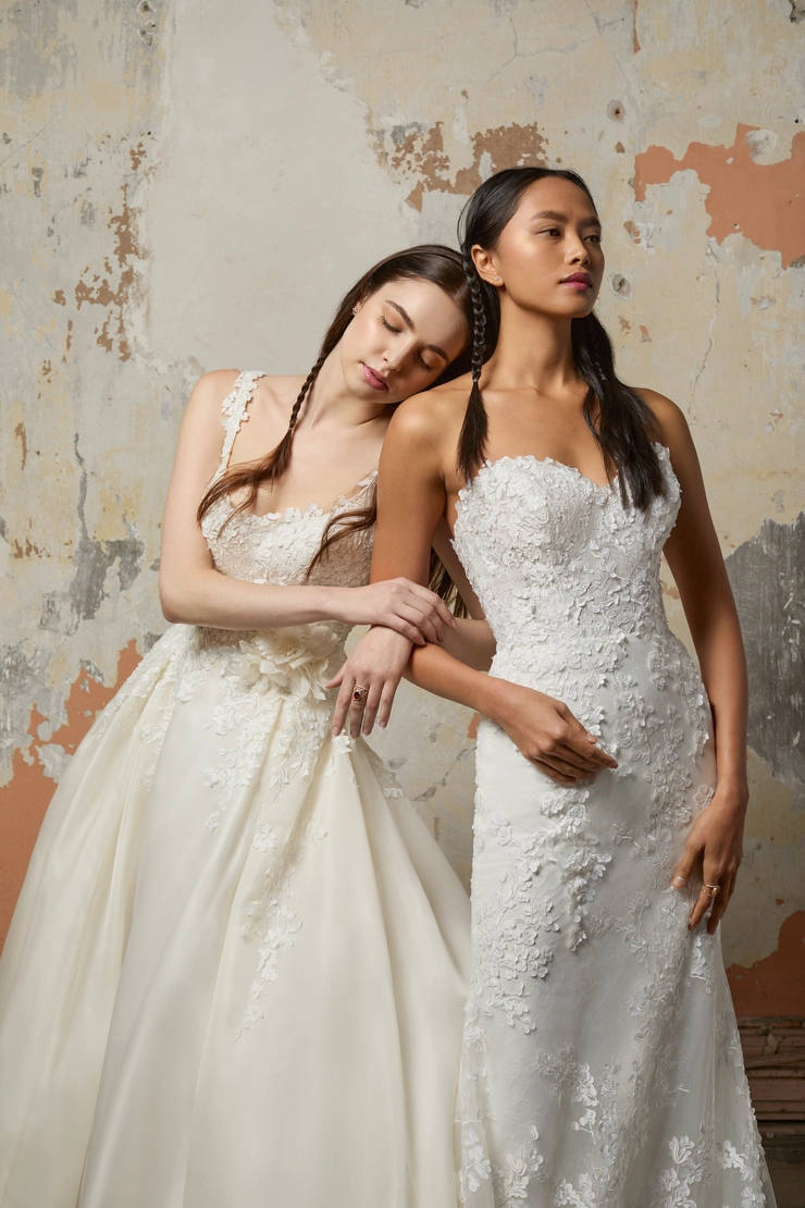 Lazaro 32204