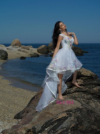 Blush 11506