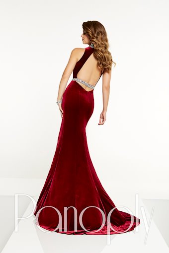 Panoply 14860