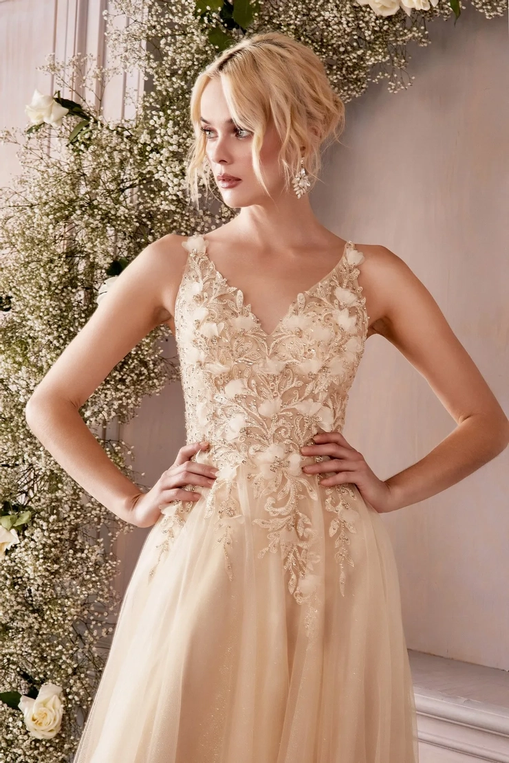 Ladivine by Cinderella Divine - CD0181 | Trudys Brides