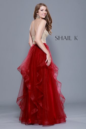 Shail K #1 thumbnail