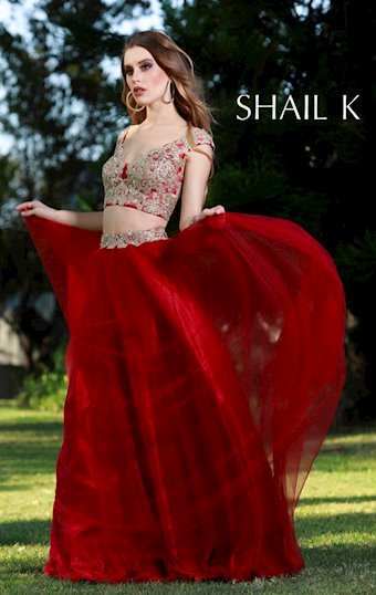 Shail K #4 thumbnail
