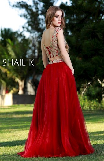 Shail K #6 thumbnail