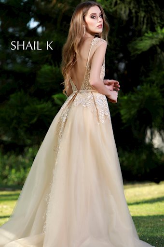 Shail K #3 thumbnail