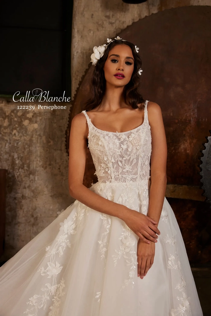 Calla Blanche 122239