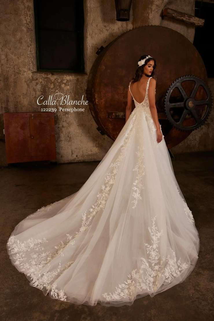 Calla Blanche 122239