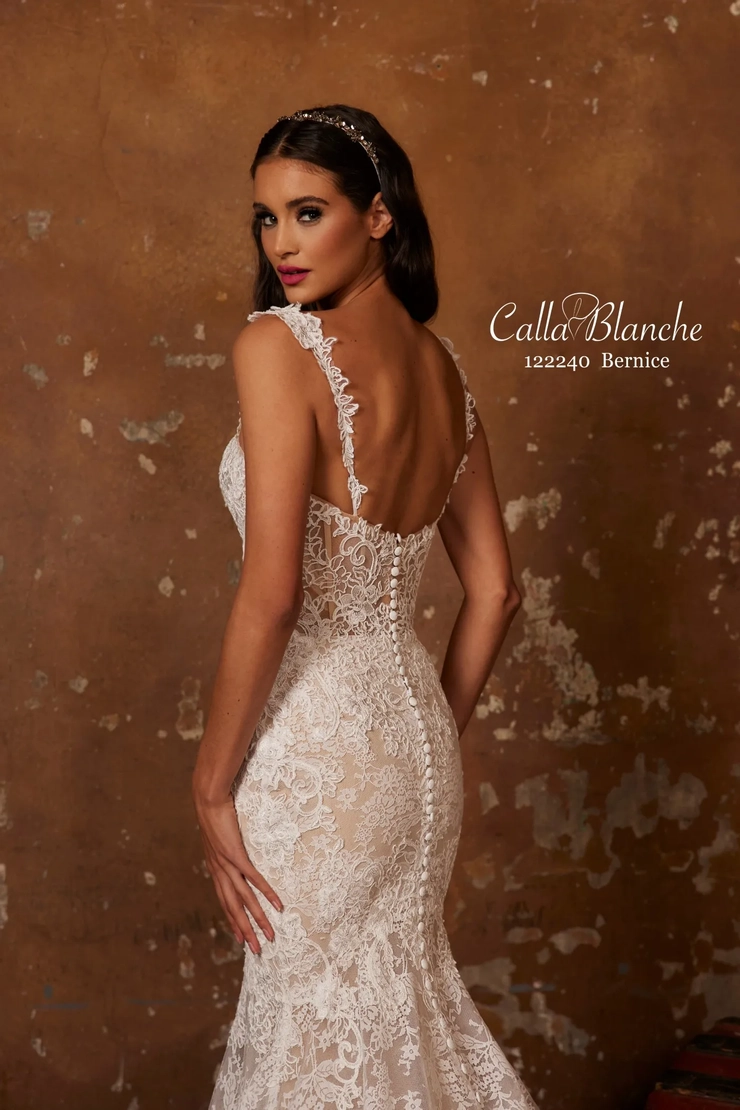 Calla Blanche 122240