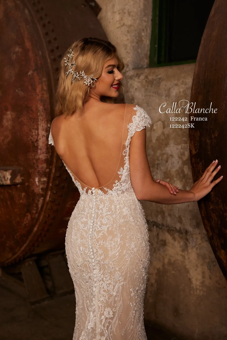 Calla Blanche 122242