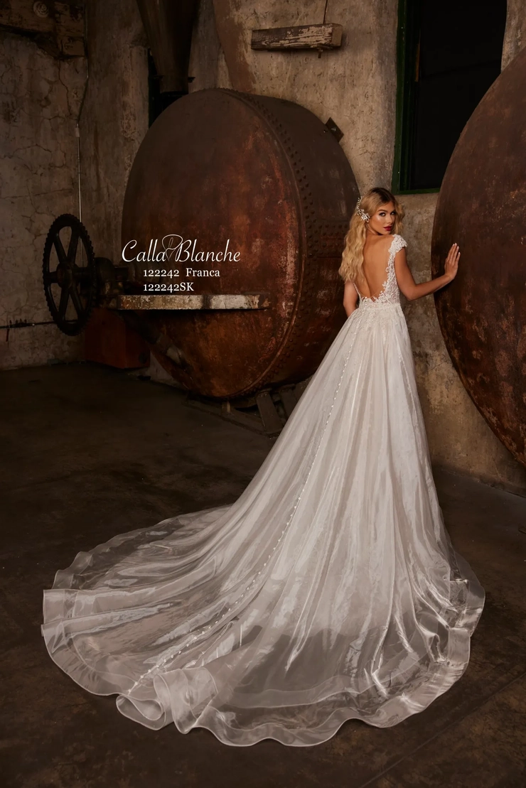 Calla Blanche 122242