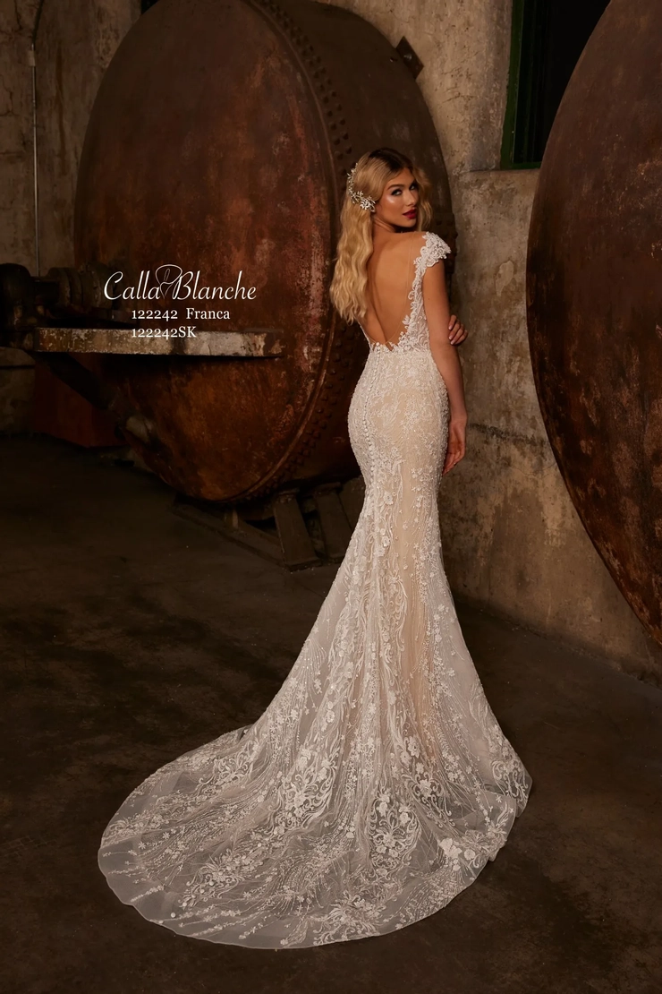Calla Blanche 122242