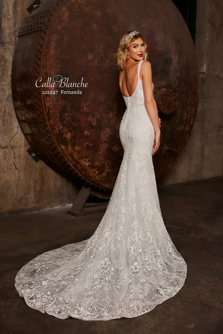Calla Blanche 122247