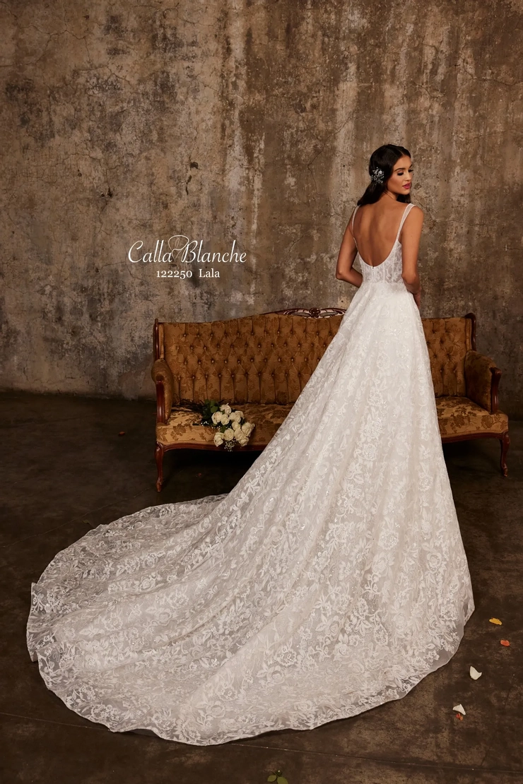 Calla Blanche 122250