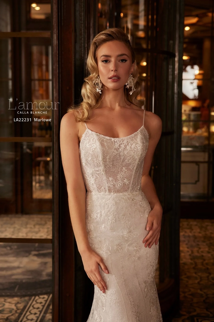 Calla Blanche LA22231