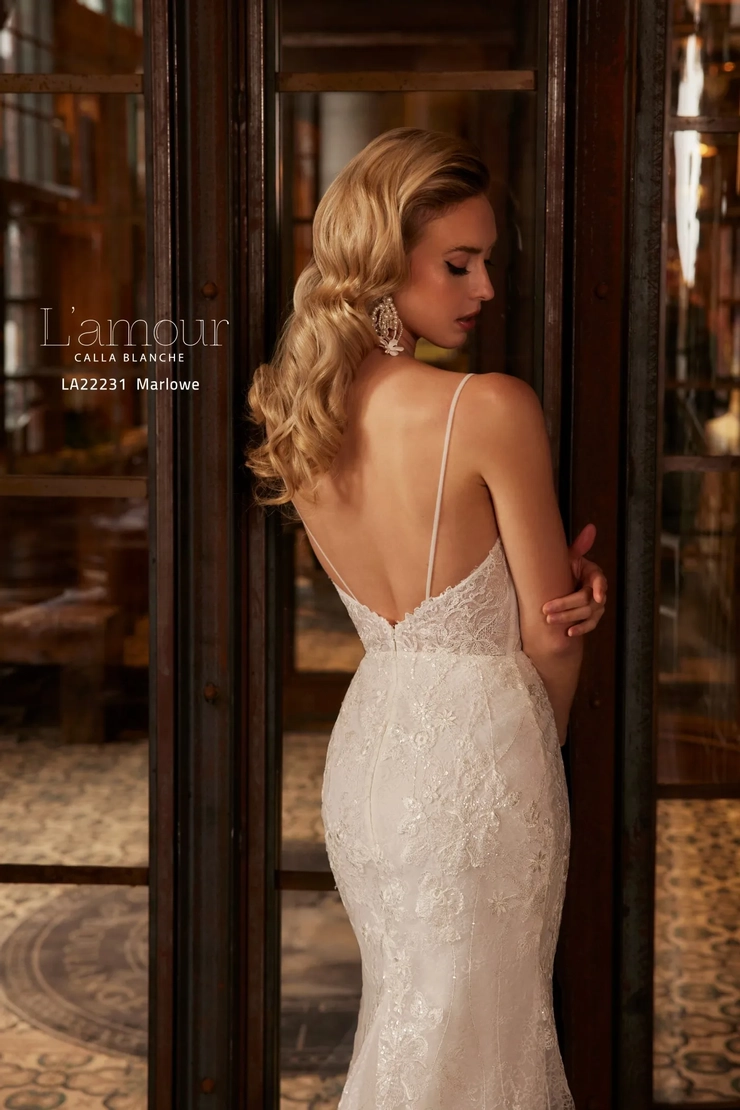 Calla Blanche LA22231