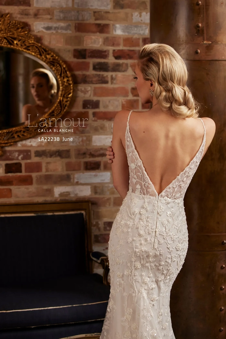 Calla Blanche LA22238
