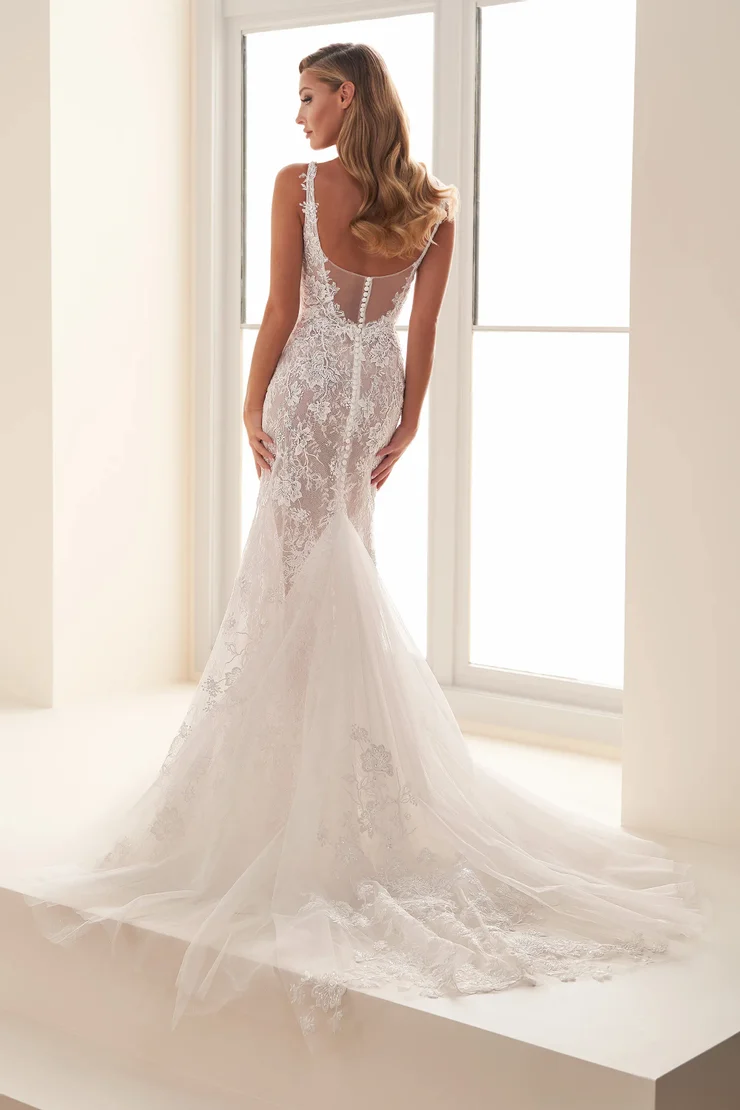 Enchanting Backface Thumbnail Image