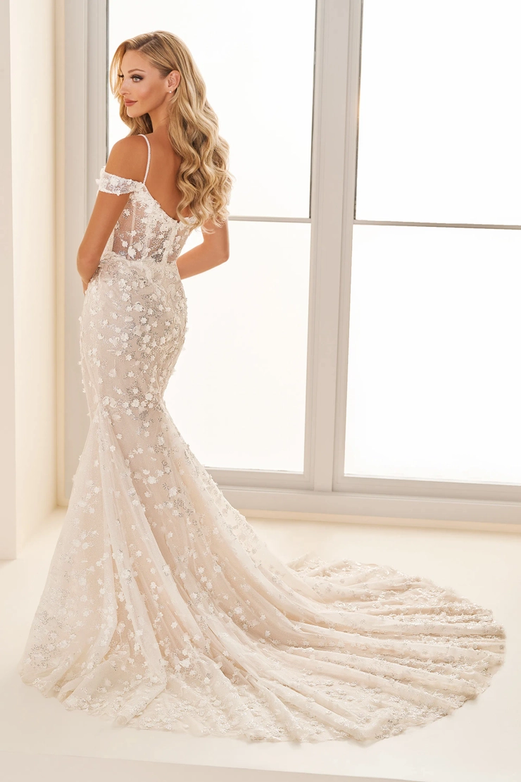 Enchanting Backface Thumbnail Image