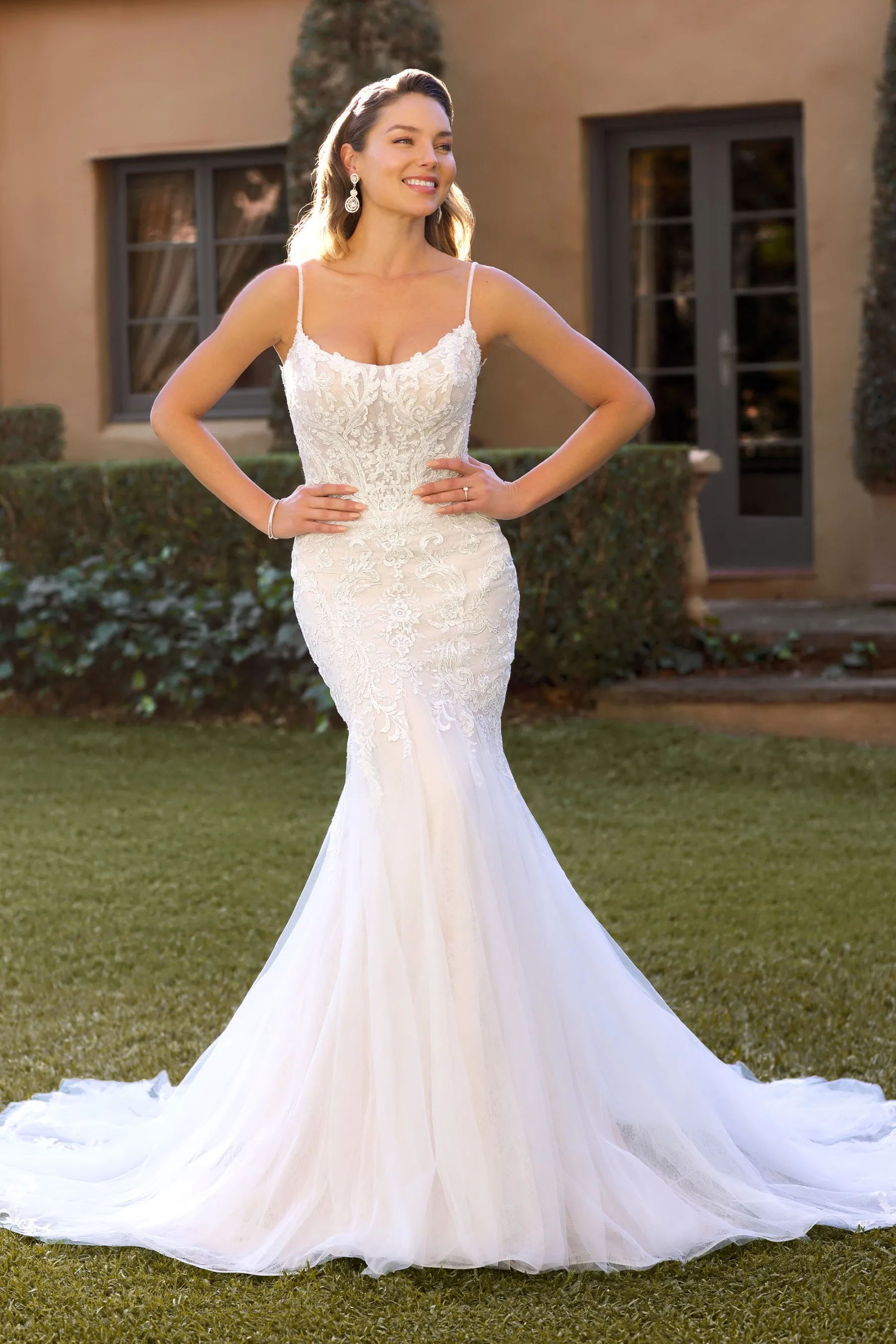 Romance Reborn Sophia Tolli