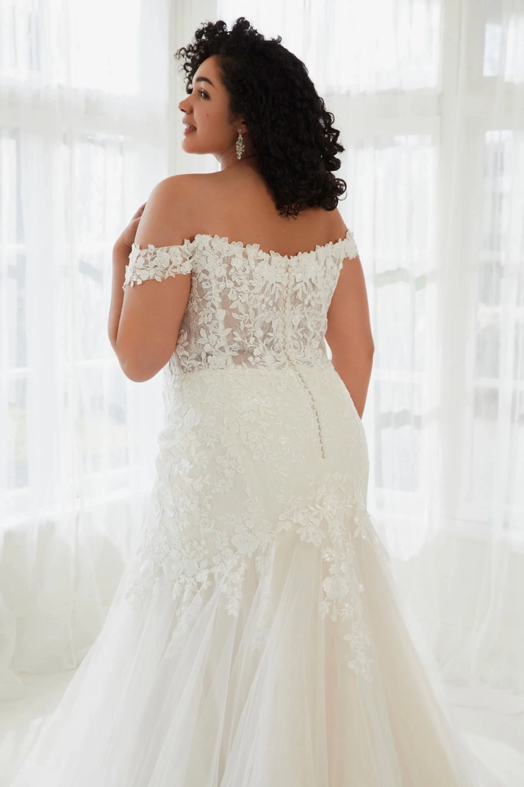 Sophia Tolli Backface Thumbnail Image